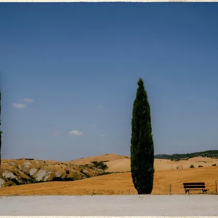 Podere Fossaccio Olivo House アッシャーノ